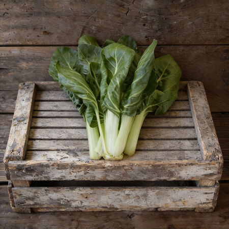 Barese, Swiss Chard Seeds - Packet image number null